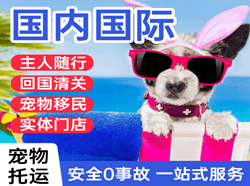 乌兰浩特义勒力特航空邮寄国际宠物托运 【国